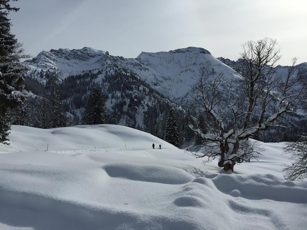Hotel Hotel-gasthof Der Wiesengrund 3*