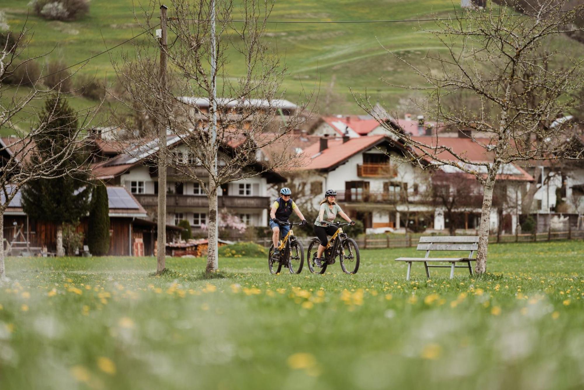 Hotel-gasthof Der Wiesengrund Hotel 3*